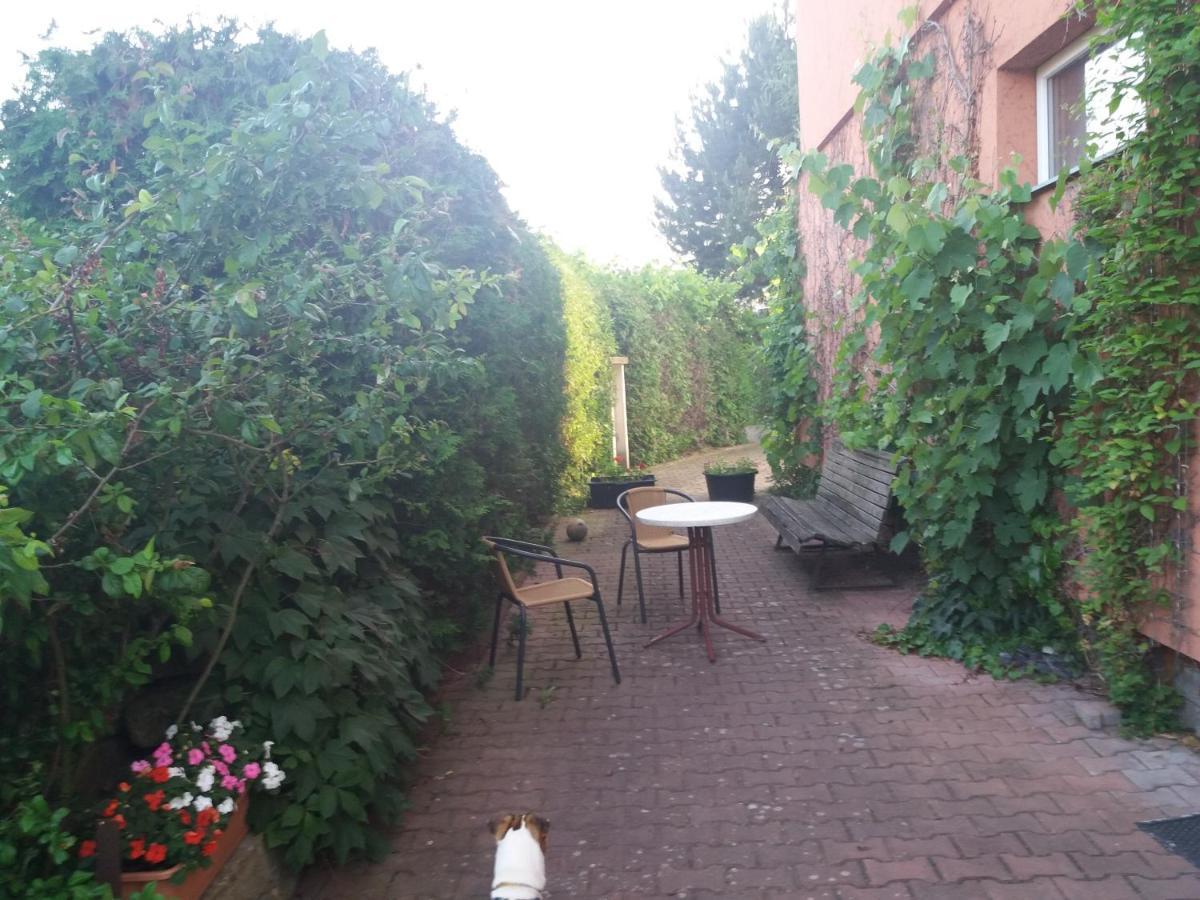 Apartman Na Skale Kostelec nad Orlici Екстер'єр фото